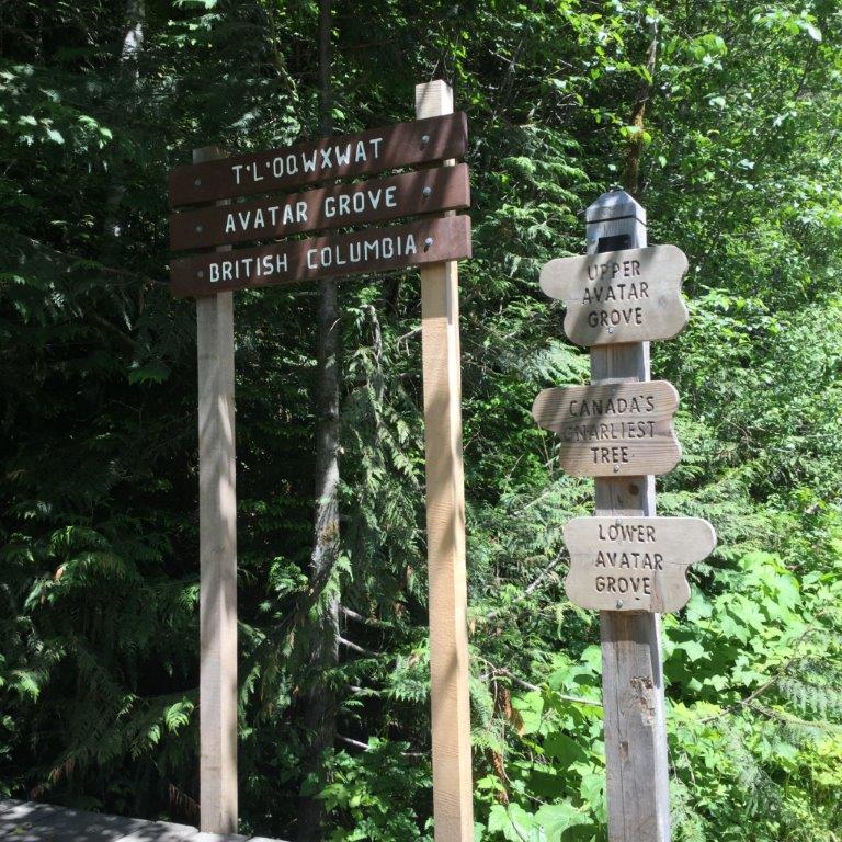 Avatar Grove Hiking Trails